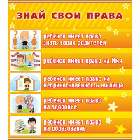 Стенд "Знай свои права" - «globural.ru» - Курск