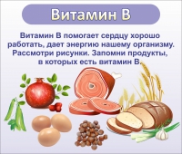 Стенд "Витамин В" - «globural.ru» - Курск