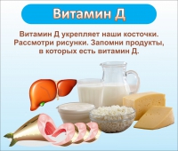 Стенд "Витамин Д" - «globural.ru» - Курск