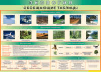 Обобщающие таблицы 1000*700 винил	 - «globural.ru» - Курск