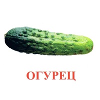 Карточки Домана "Овощи-Зелень-1" - «globural.ru» - Курск