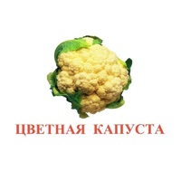 Карточки Домана "Овощи-Зелень-2" - «globural.ru» - Курск
