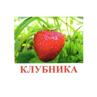 Карточки Домана "Ягоды-1" - «globural.ru» - Курск