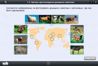 Интерактивные курсы. Биология 7 класс. Расширенный - «globural.ru» - Курск