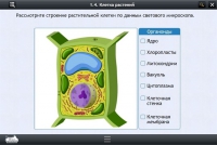 Интерактивные курсы. Биология 9 класс. Расширенный - «globural.ru» - Курск