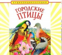 CD "Аудиоэнциклопедия. Городские птицы" - «globural.ru» - Курск
