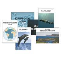Модель-аппликация "Океаны. Знакомство" (ламинированная) - «globural.ru» - Курск