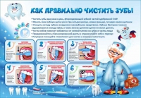 Стенд "Как правильно чистить зубы" - «globural.ru» - Курск