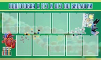 Стенд "Подготовка к ЕГЭ и ОГЭ по биологии" (вариант 2) - «globural.ru» - Курск
