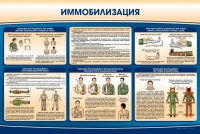 Стенд "Иммобилизация" - «globural.ru» - Курск