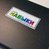 Навыки социальной адаптации. Развивающие пособие на липучках  - «globural.ru» - Курск