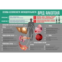 Стенд "Алкоголь" - «globural.ru» - Курск