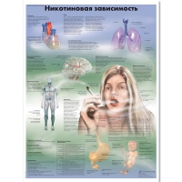 Плакат "Никотиновая зависимость", ламинированный, 50*67 см - «globural.ru» - Курск