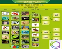 Стенд "Систематика животных" - «globural.ru» - Курск