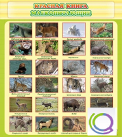 Стенд "Красная книга - млекопитающие" - «globural.ru» - Курск
