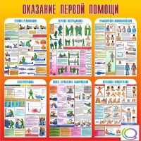 Стенд "Оказание первой помощи" - «globural.ru» - Курск