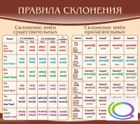 Стенд "Правила склонения" - «globural.ru» - Курск