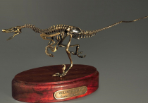 Модель скелета динозавра Velociraptor - «globural.ru» - Курск