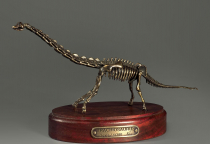 Модель скелета динозавра Brachiosaurus - «globural.ru» - Курск
