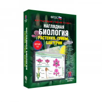 Наглядная биология. Растения. Грибы. Бактерии - «globural.ru» - Курск
