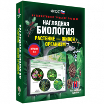 Наглядная биология. Растение - живой организм - «globural.ru» - Курск