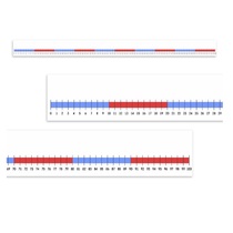 Нумирошка. Числовая прямая 0-100 по методике Нумикон - «globural.ru» - Курск