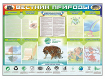 Стенд-уголок "Вестник природы" (вариант 1) - «globural.ru» - Курск