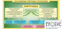 Стенд "Методы селекции и биотехнологии" - «globural.ru» - Курск