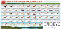 Стенд "Красная книга РФ" - «globural.ru» - Курск