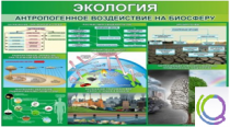 Стенд "Экология. Антропогенное воздействие на биосферу" - «globural.ru» - Курск