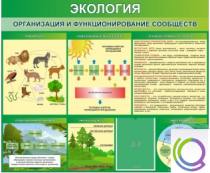 Стенд "Экология. Организация и функционирование сообществ" - «globural.ru» - Курск