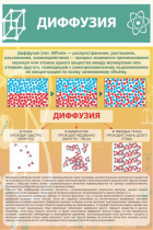 Стенд "Диффузия" - «globural.ru» - Курск