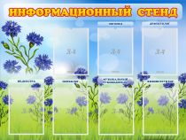 Стенд информационный с 7 карманами - «globural.ru» - Курск