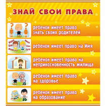 Стенд "Знай свои права" - «globural.ru» - Курск