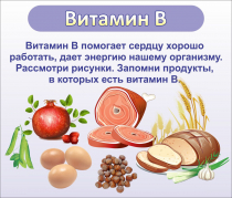 Стенд "Витамин В" - «globural.ru» - Курск