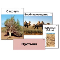 Модель-аппликация "Природные зоны России" - «globural.ru» - Курск