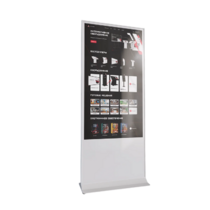 Интерактивный сенсорный киоск Nova 43" - «globural.ru» - Курск
