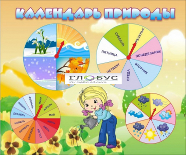 Стенд "Календарь природы" (вариант 1) - «globural.ru» - Курск