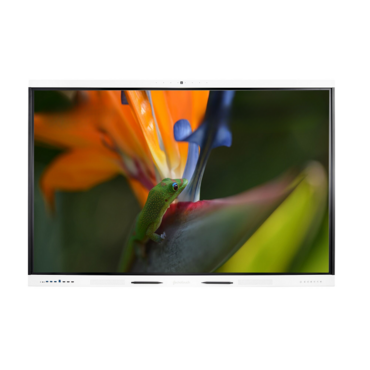 Интерактивная панель Geckotouch Interactive ​​​​​​​65SL - «globural.ru» - Курск