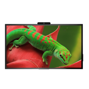 Интерактивная панель Geckotouch Interactive 65R - «globural.ru» - Курск