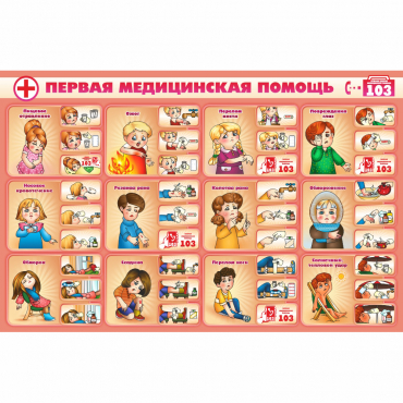 Стенд "Первая помощь" - «globural.ru» - Курск