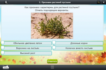 Интерактивные курсы. Окружающий мир 3 класс. Базовый - «globural.ru» - Курск