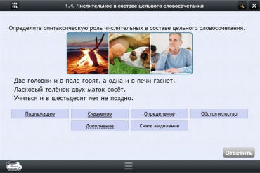 Интерактивные курсы. Русский язык 6 класс. Базовый - «globural.ru» - Курск