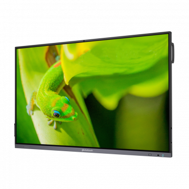 Интерактивный программно-аппаратный комплекс Geckotouch Interactive IP75GT-C в комплекте с настенным креплением - «globural.ru» - Курск