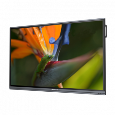 Интерактивный программно-аппаратный комплекс Geckotouch Interactive Pro IP75HT-E в комплекте с настенным креплением - «globural.ru» - Курск