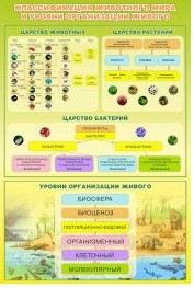 Стенд "Классификация животного мира" - «globural.ru» - Курск